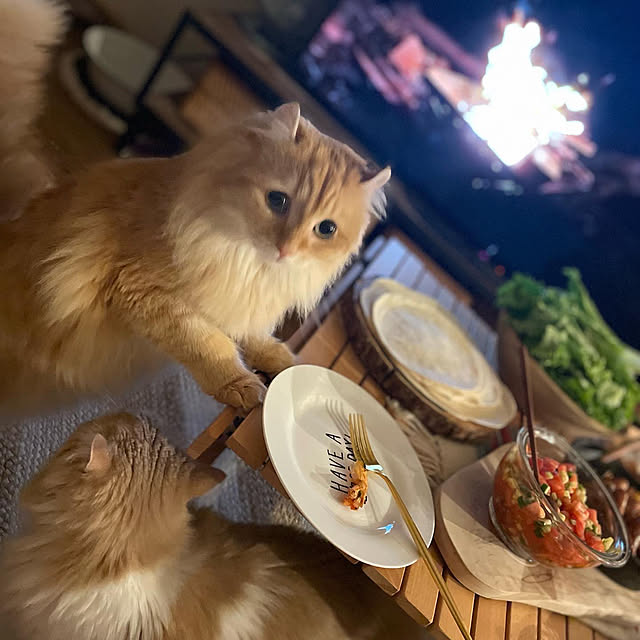 maruさんの実例写真
