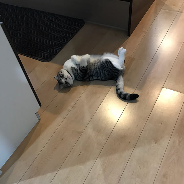 Dahliaさんの実例写真