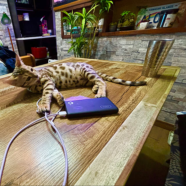 tututu0204さんの実例写真