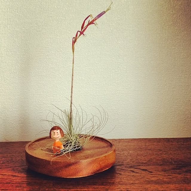 Shigekiさんの実例写真