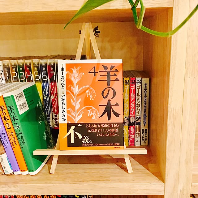 okadakaさんの実例写真