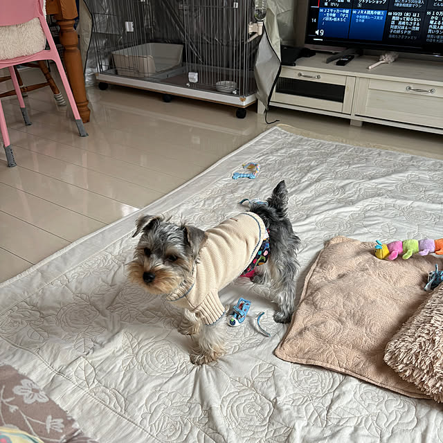 oceanさんの部屋