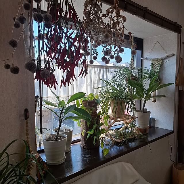 midoriさんの実例写真