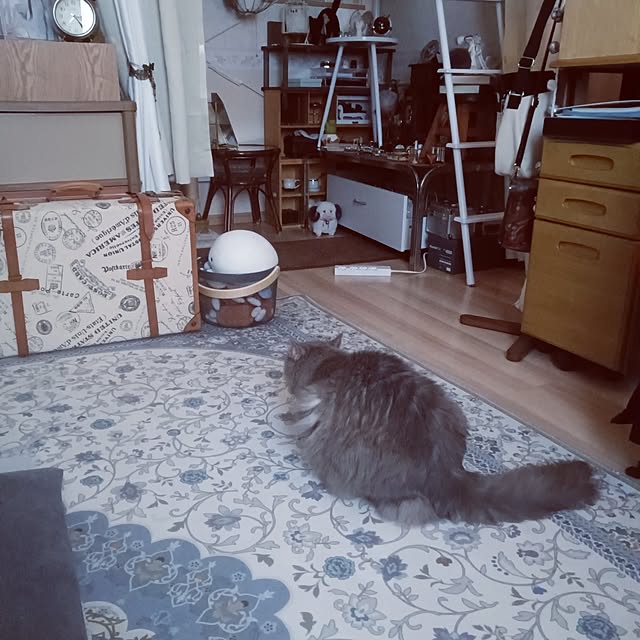 Miuさんの部屋