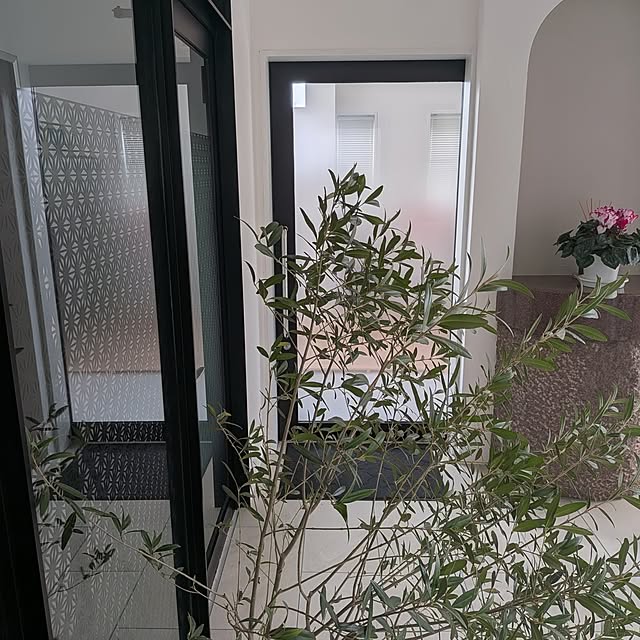 acocoさんの実例写真