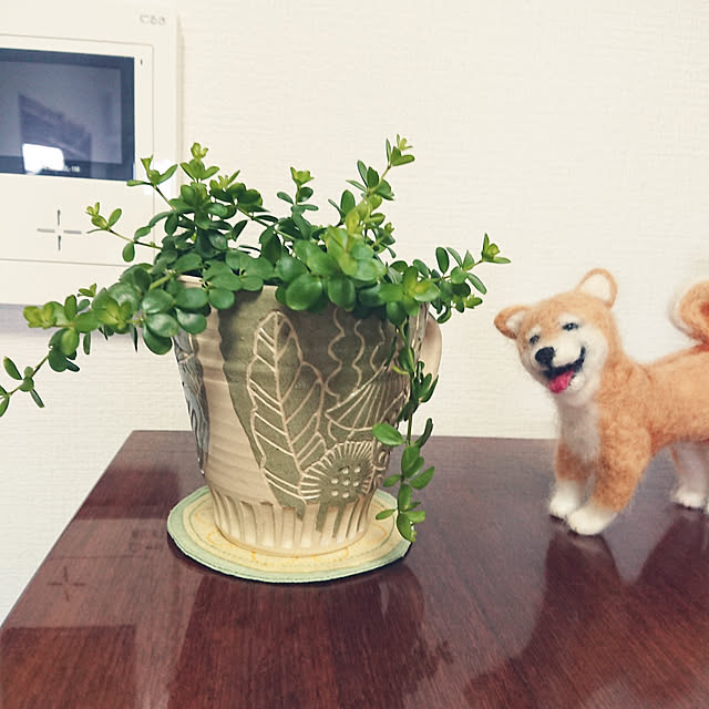 hopkeiさんの実例写真