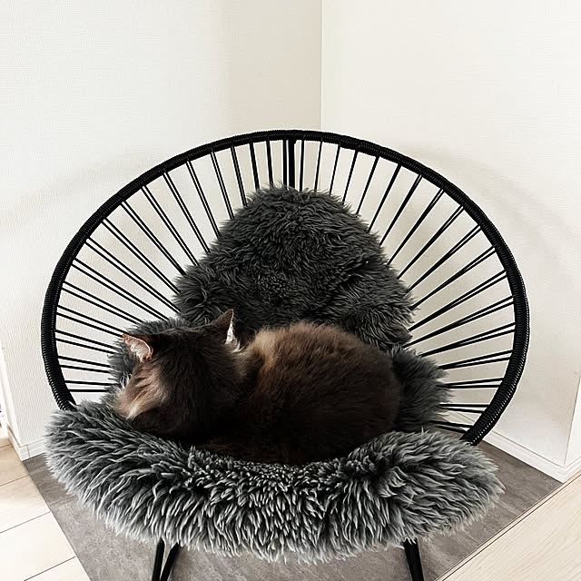 leoさんの実例写真