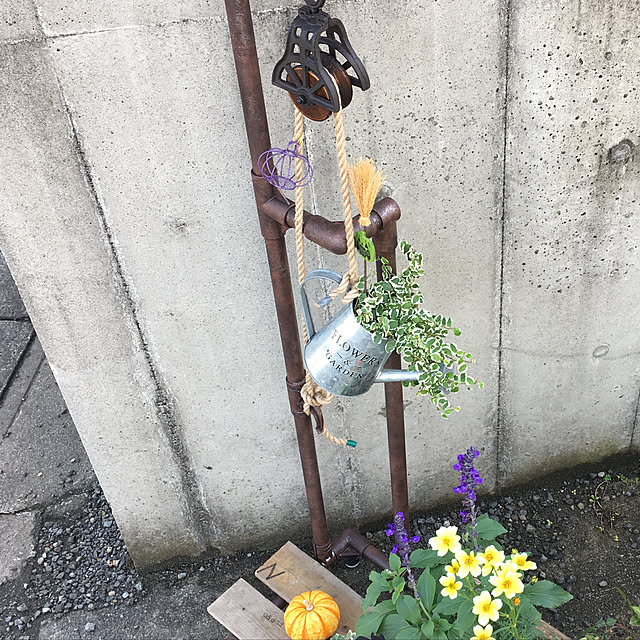実例写真