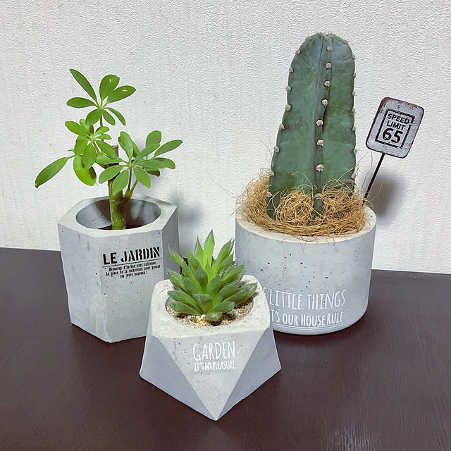 harugiさんの実例写真