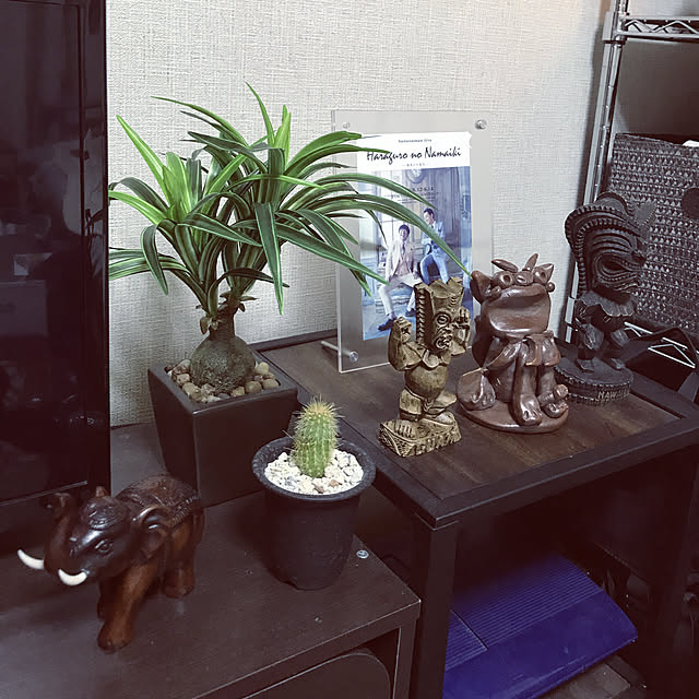 sotaさんの実例写真