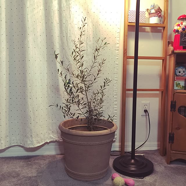 Kozuさんの実例写真