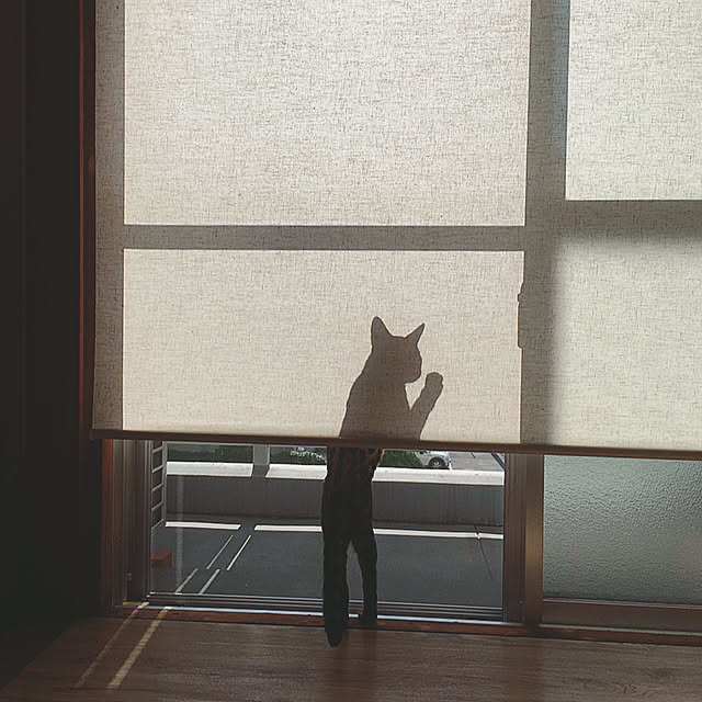 anさんの実例写真