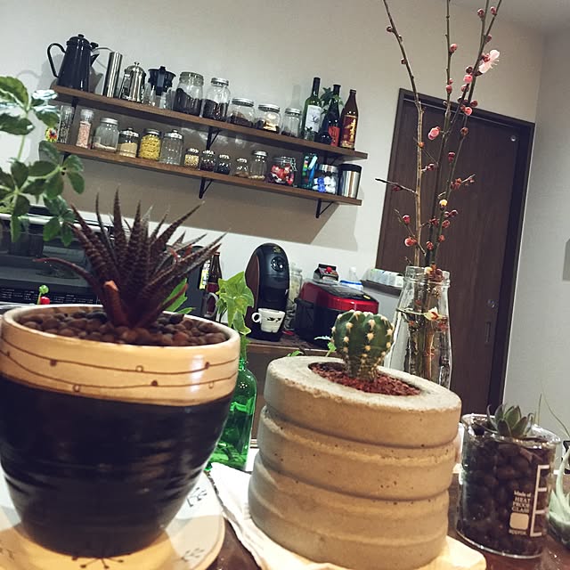 clumsy38さんの実例写真