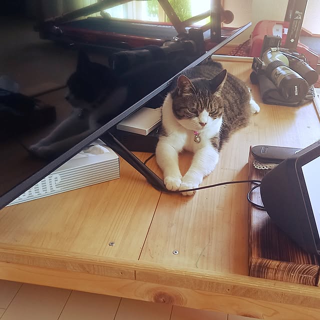 civicglさんの部屋