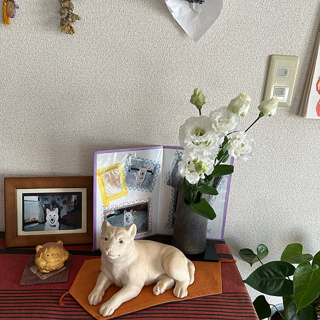ritsukoさんの部屋