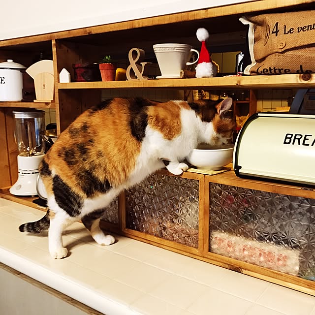 su-chanさんの実例写真