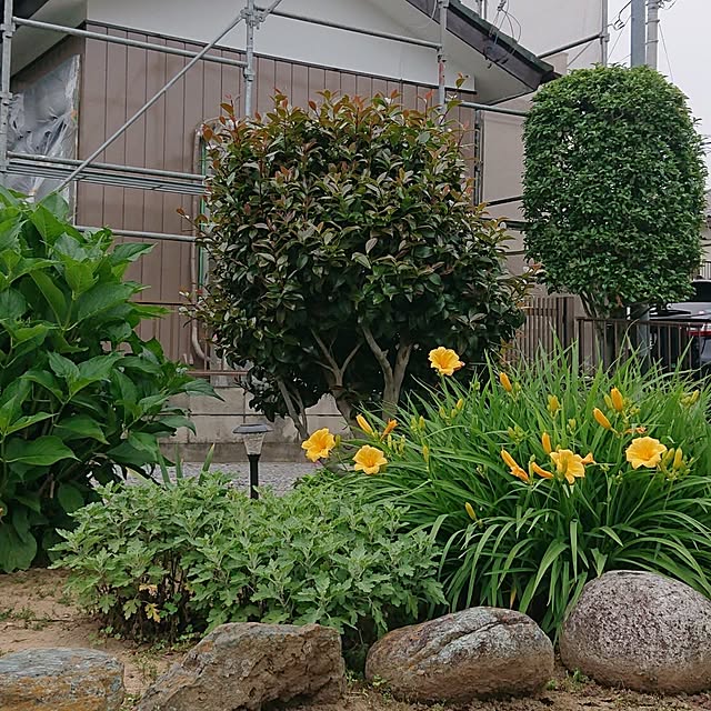 NOAHさんの実例写真