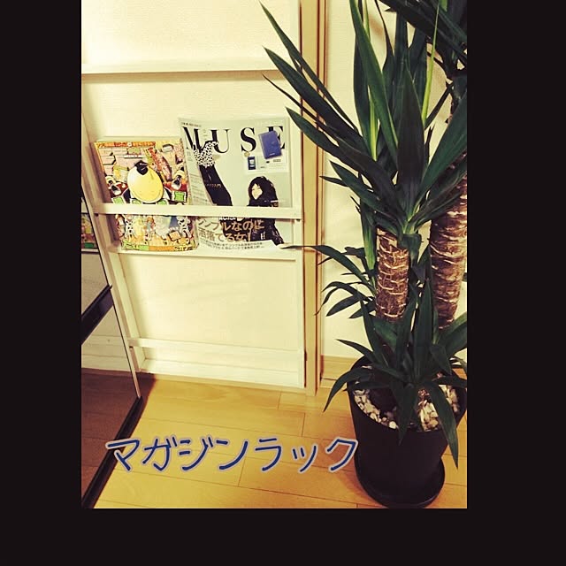 naanae77さんの実例写真