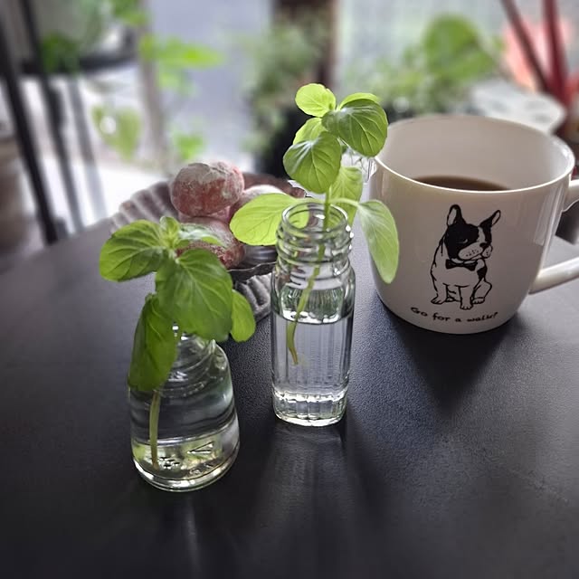 noaさんの実例写真
