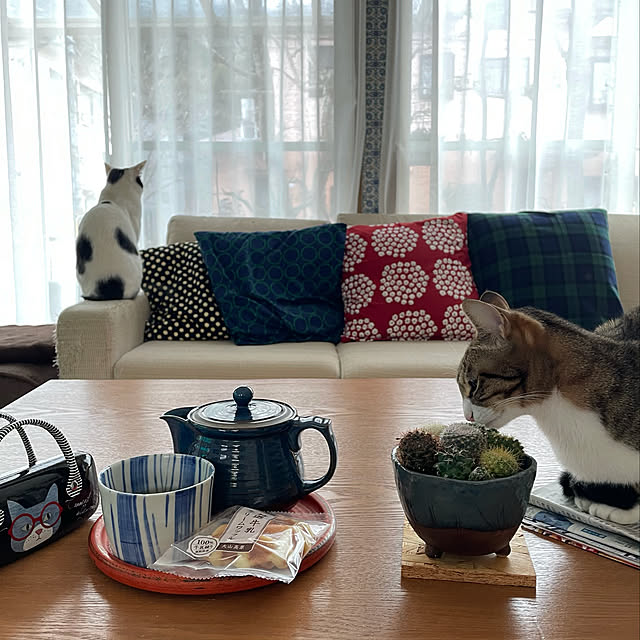 nobikoさんの実例写真