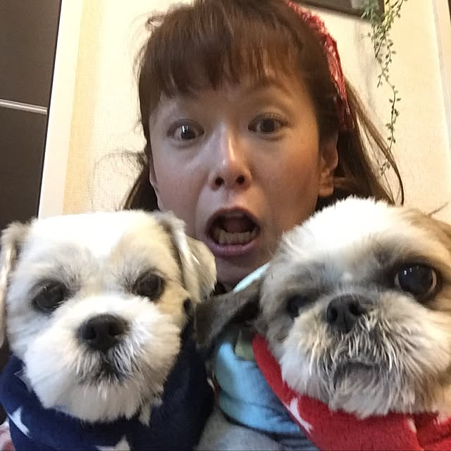 emiさんの実例写真