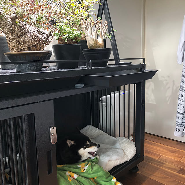 nuruiさんの部屋