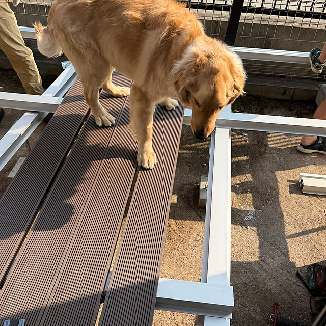 yun.mkrさんの実例写真