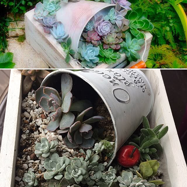 kimuraruさんの実例写真