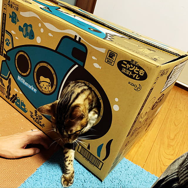 cyanさんの実例写真