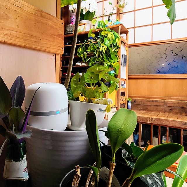 kikuさんの実例写真