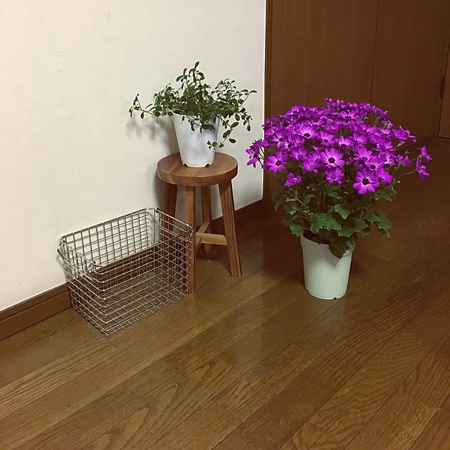manamiさんの実例写真