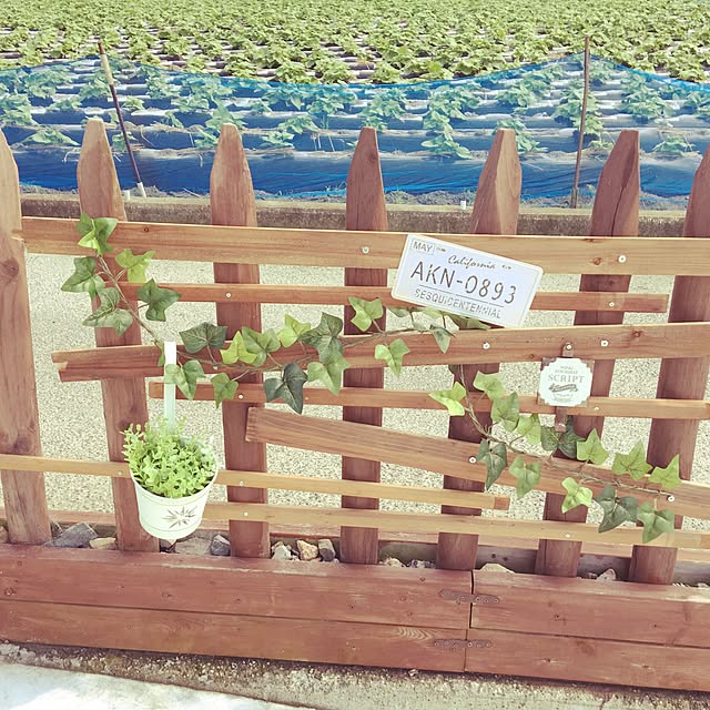 Shokoさんの実例写真