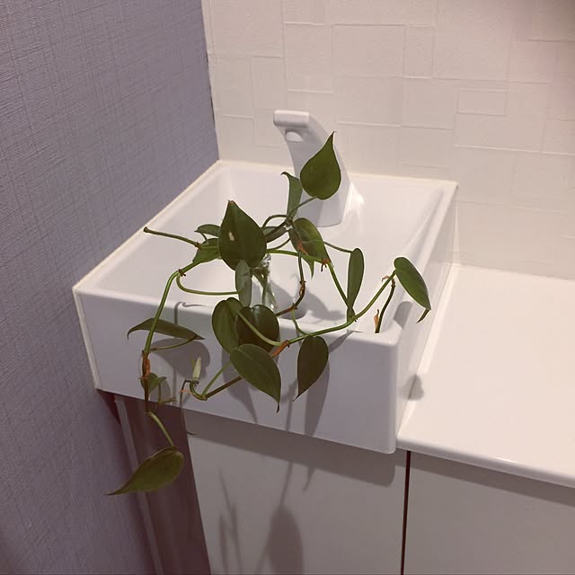nadesikoさんの実例写真