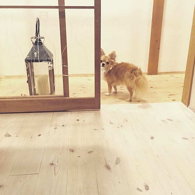 jasmin1223さんの実例写真
