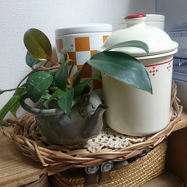 hako_haruさんの実例写真