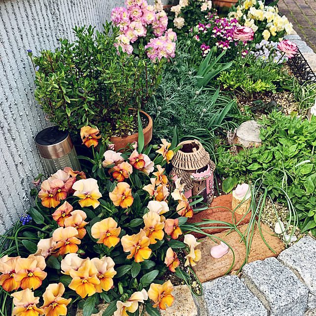 AINIさんの実例写真