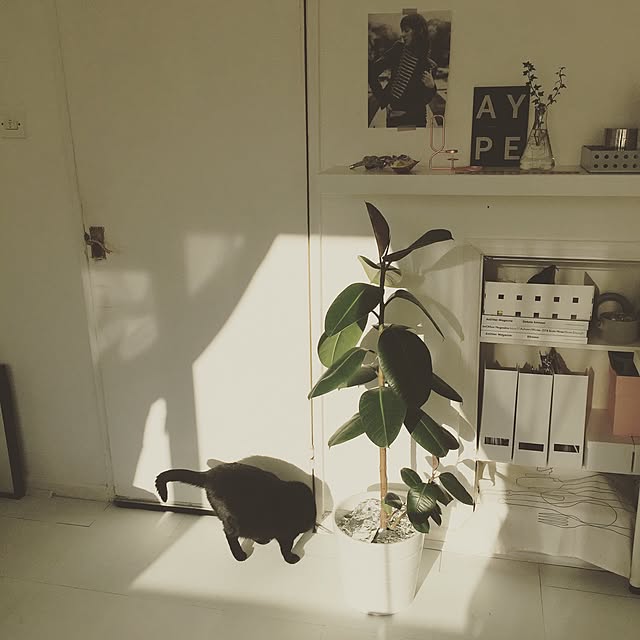 awachan77さんの実例写真