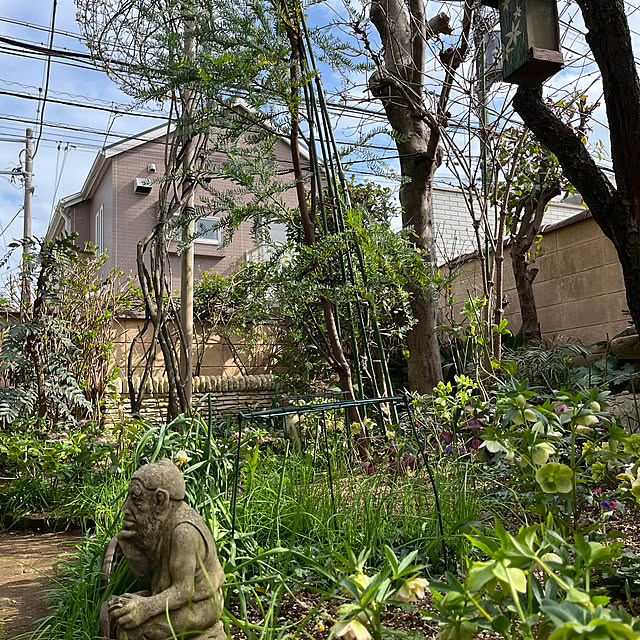 botanさんの部屋