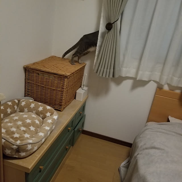 yukiさんの実例写真