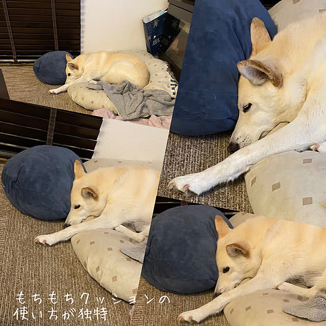 tanboさんの部屋