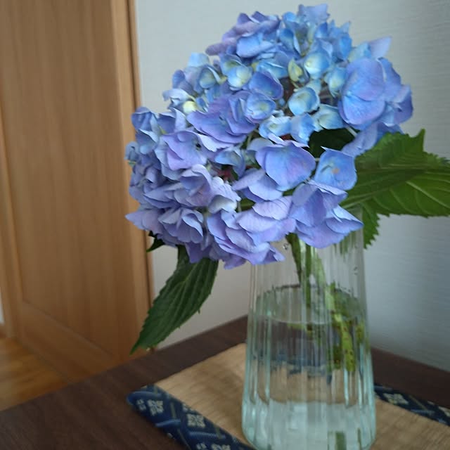 ruapyさんの部屋