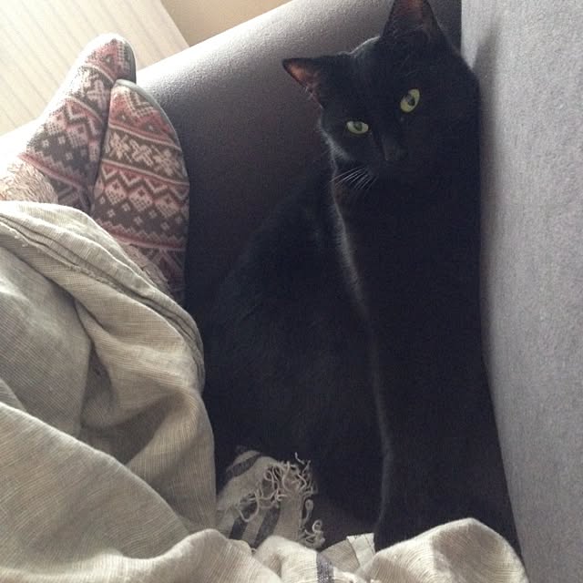 awachan77さんの実例写真