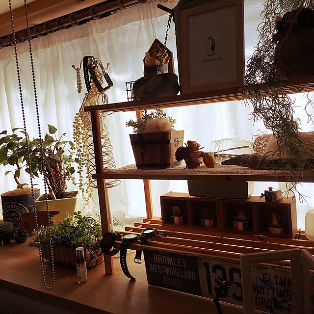 棚/ナチュラル/フェイクグリーン/雑貨/観葉植物...などのインテリア実例 - 2017-06-15 07:58:43