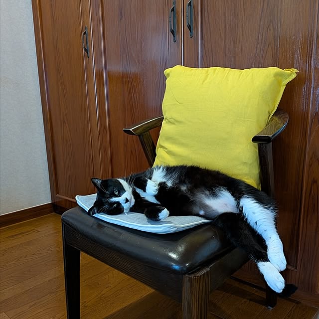 Mayumi8888さんの実例写真