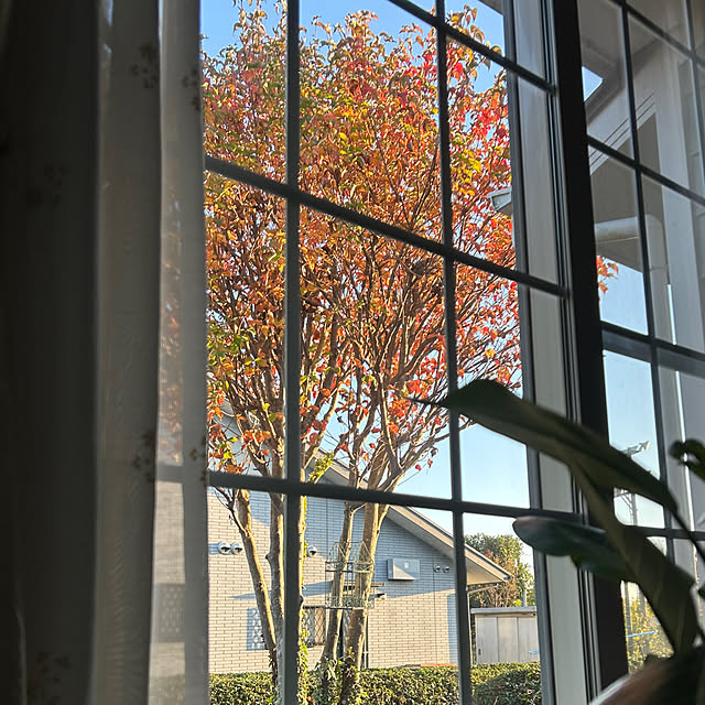 nana77さんの部屋