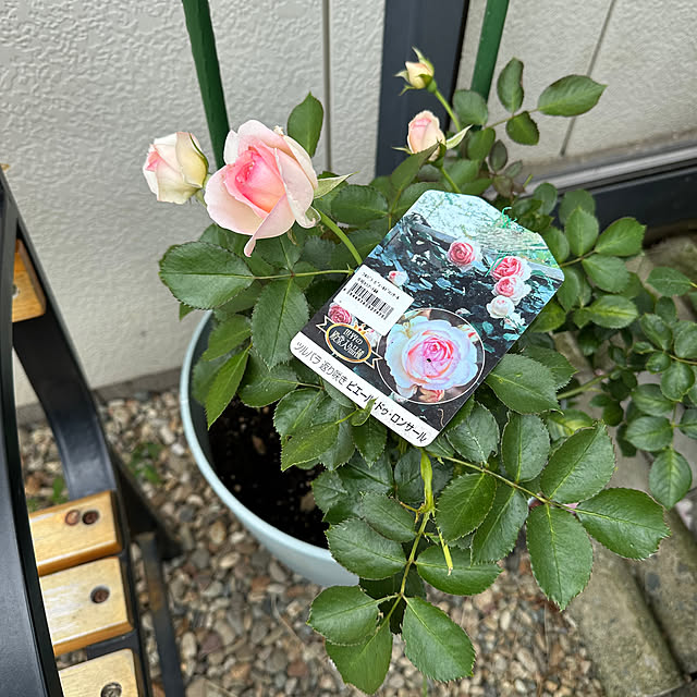 ryannicolas41さんの実例写真