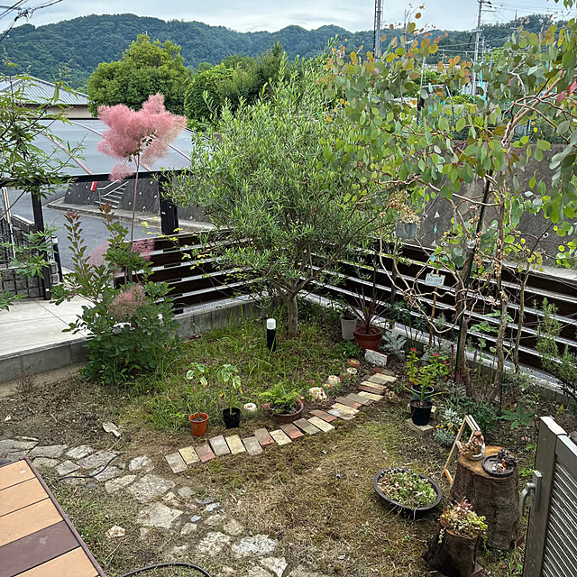 ayayayayaさんの部屋