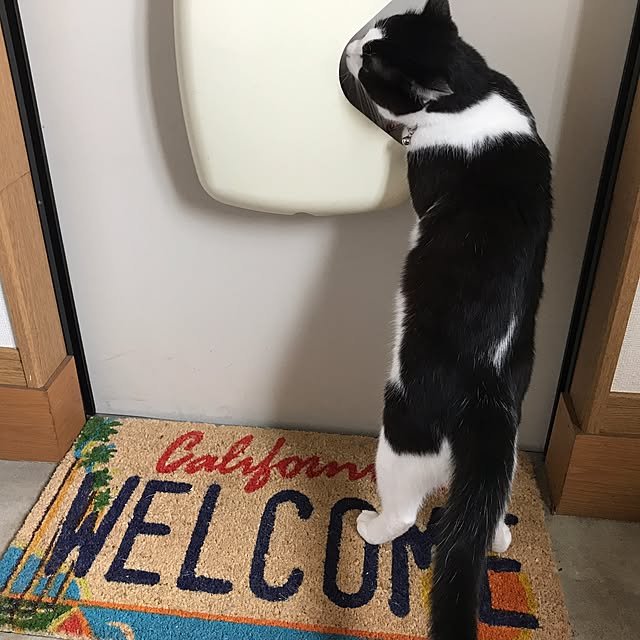 emiさんの実例写真