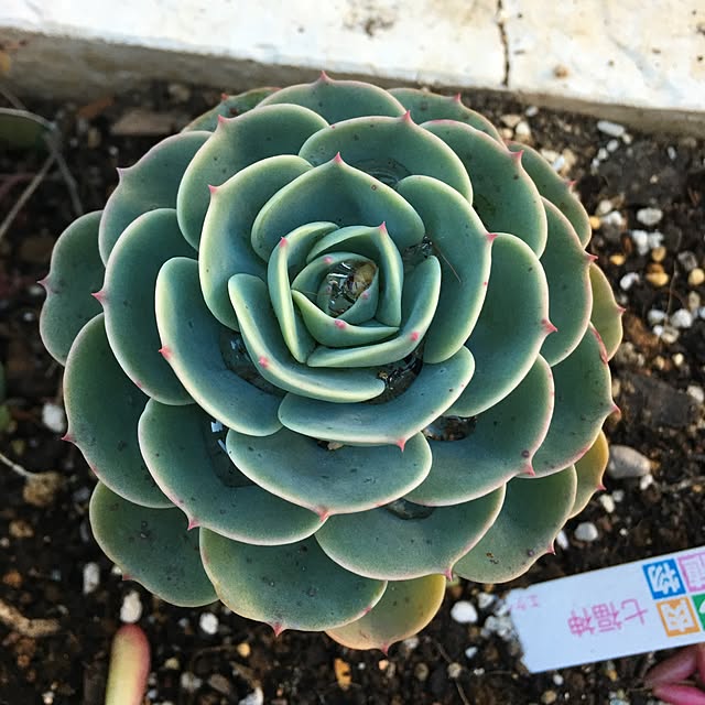 sako156cmさんの実例写真