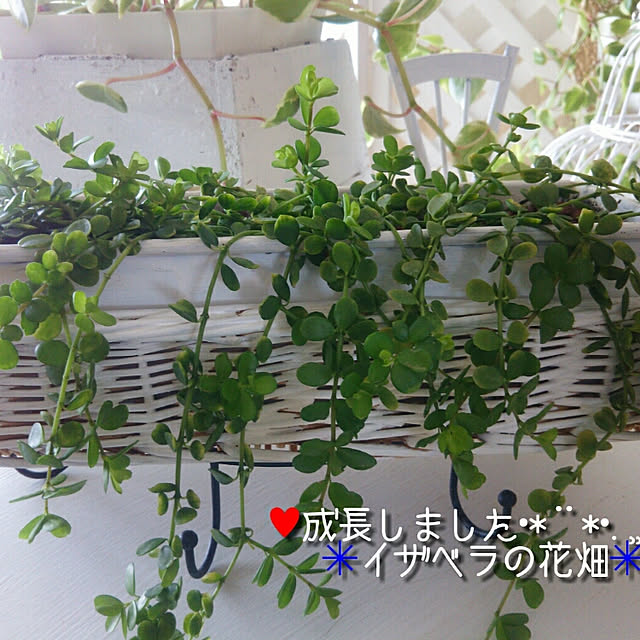 ami.majoさんの実例写真